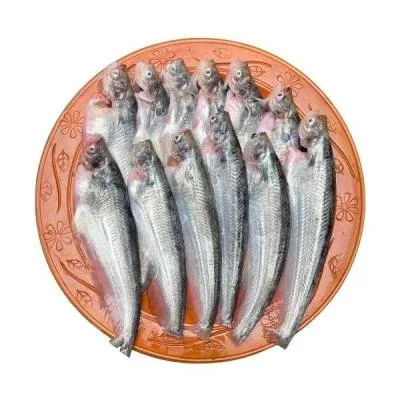 দেশি পাবদা মাছ